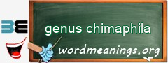 WordMeaning blackboard for genus chimaphila